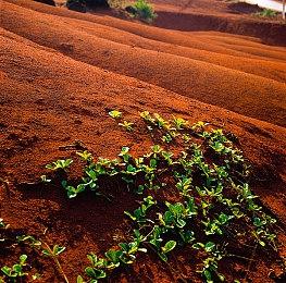休闲战斗《果冻部队》3月7日开启测试 任天堂前员工开发