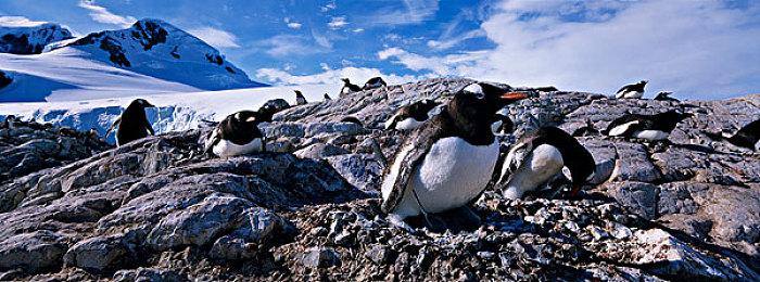 前《激战2》叙事总监加盟Bungie 开发未公布游戏