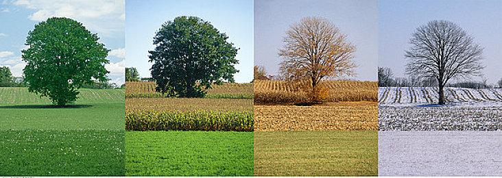 《模拟山羊3》11月17日发行 “羊盒”实体版公布